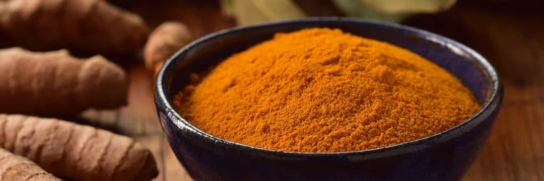A curcumina principal constituinte ativo, é uma substância polifenólica amarela. Ela é extraída do rizoma da planta e é utilizada desde a antiguidade em alimentos e para usos terapêuticos e amplamente utilizada na Índia.