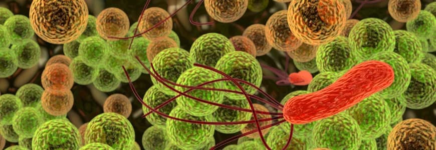 Ação antimicrobiana das nanopartículas de prata na indústria de alimentos